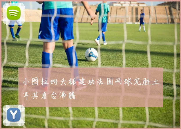 小图拉姆头槌建功法国两球完胜土耳其看台沸腾