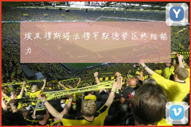 埃及穆斯塔法穆罕默德禁区终结能力