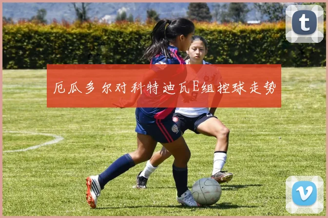 厄瓜多尔对科特迪瓦E组控球走势