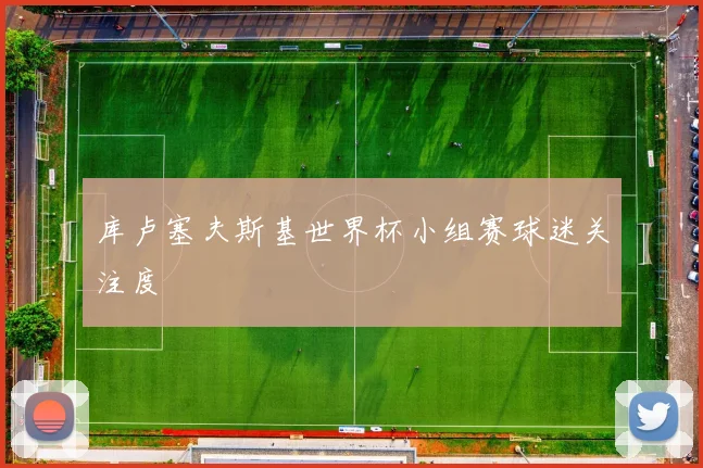 库卢塞夫斯基世界杯小组赛球迷关注度