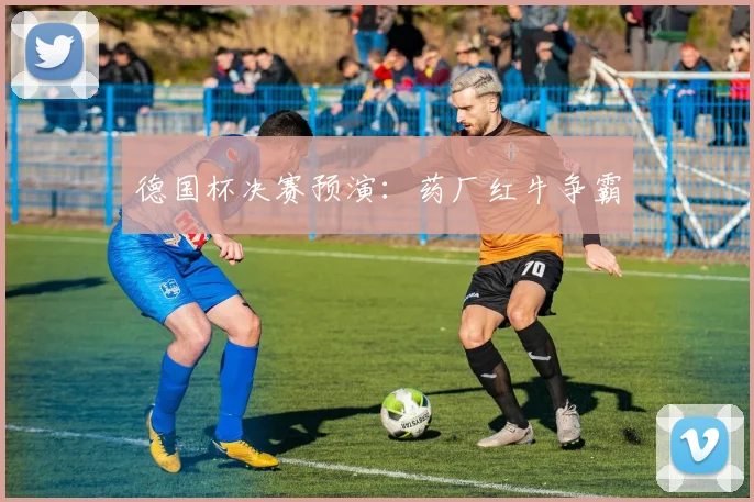 德国杯决赛预演:药厂红牛争霸