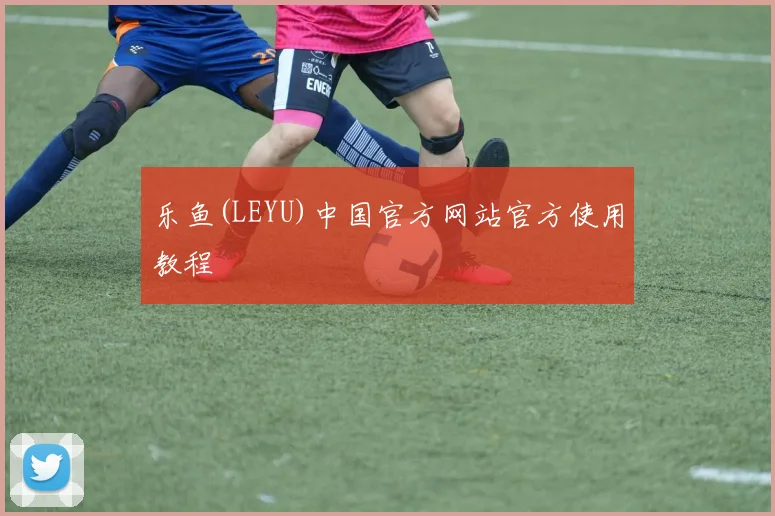 乐鱼(LEYU)中国官方网站官方使用教程