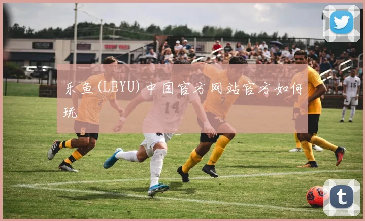 乐鱼(LEYU)中国官方网站官方如何玩