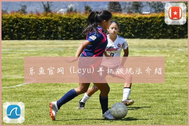 乐鱼官网 (Leyu)手机版玩法介绍